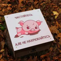 Наливатор напоїв на 6 чарок з музикою і вбудованим акумулятором