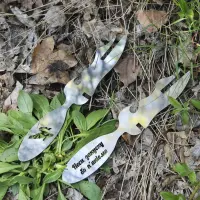 Вилка для знімання м'яса з шампура з нержавіючої сталі